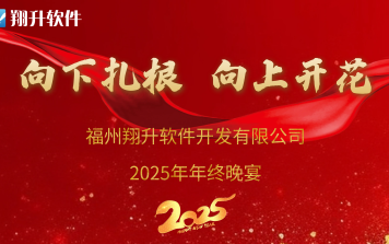 向下扎根 向上开花|2024年翔升软件年终晚宴圆满举行