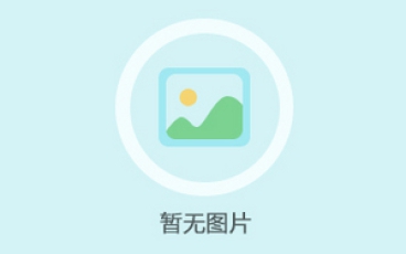 暂无数据