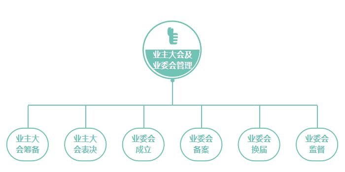 业主大会及业委会全流程引导式管理